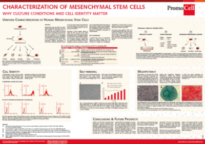 Characterization-of-Mesenchymal-Stem-Cells-Preview-e1536851546264