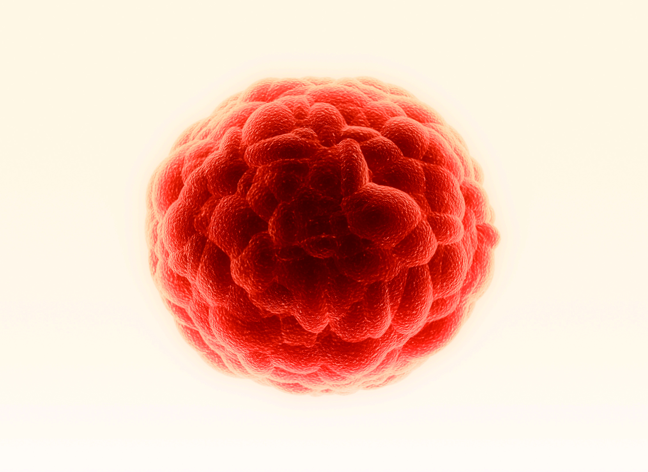3D-Tumospheres-A-Home-For-Cancer-Stem-Cells