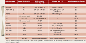 A spectrum of macrophage activation stages: The traditional M1/M2 model is not satisfactory to reflect the heterogeneity of macrophages. See full reference list in our Application Note about cryopreserved macrophages.